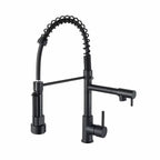 Robinet de Cuisine Design en Laiton avec Douchette couleur noir