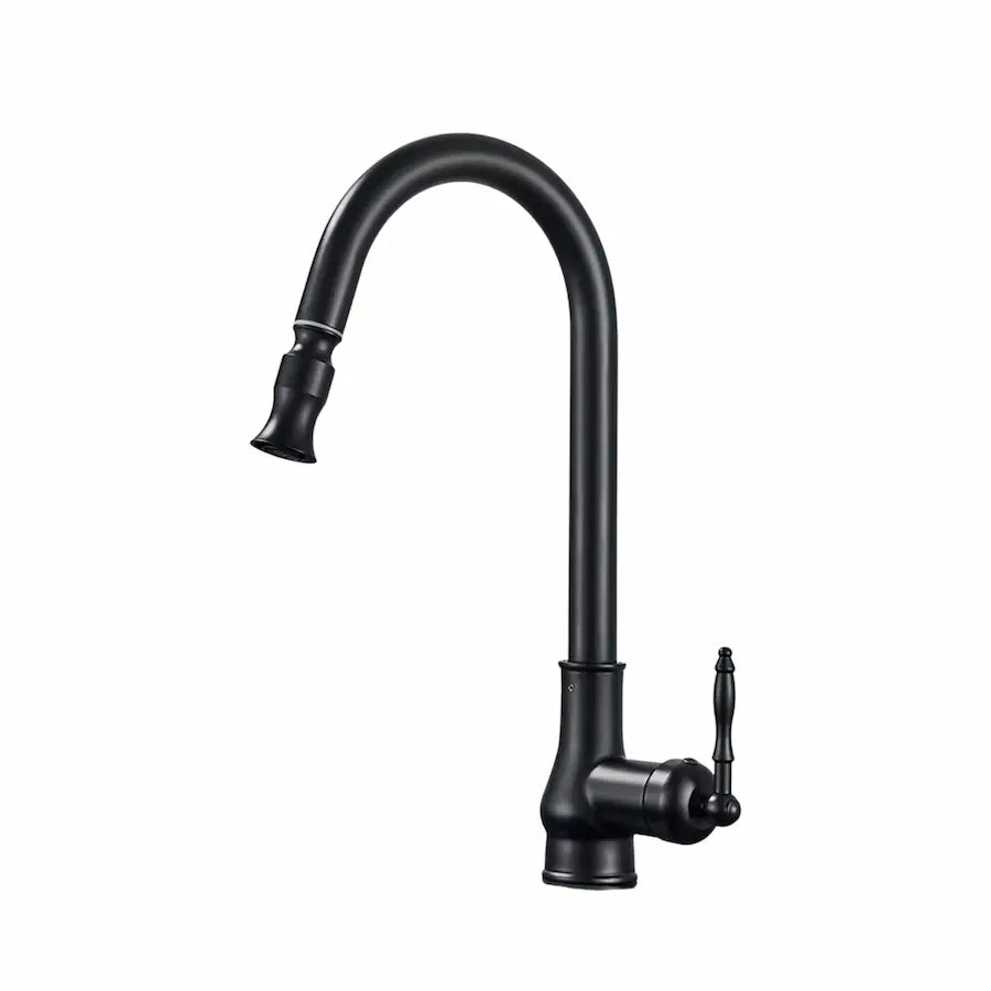 Robinet de Cuisine Vintage avec Douchette en Laiton couleur noir