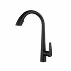 Robinet de Cuisine en Inox avec Douchette Extractible couleur noir