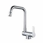 Robinet de Cuisine en Inox avec Bec Escamotable couleur chrome